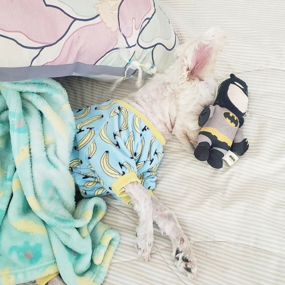 Share 20 ๐ปSharing is Caring๐ป - Picture 11 of 16